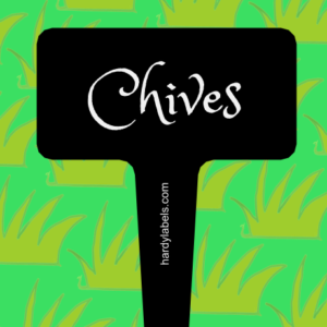 This shows the black and white label with Chives written in the Princess Sofia font