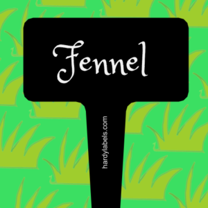 This shows the black and white label with Fennel written in the Princess Sofia font