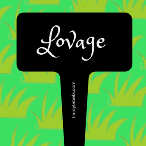 This shows the black and white label with Lovage written in the Princess Sofia font