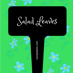 This shows the black and white label with Salad Leaves written in the Princess Sofia font