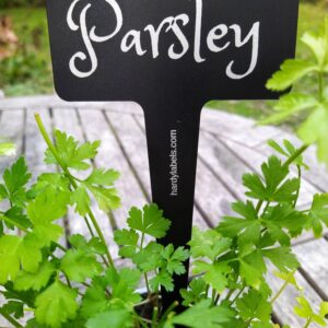 Parsley label in a pot